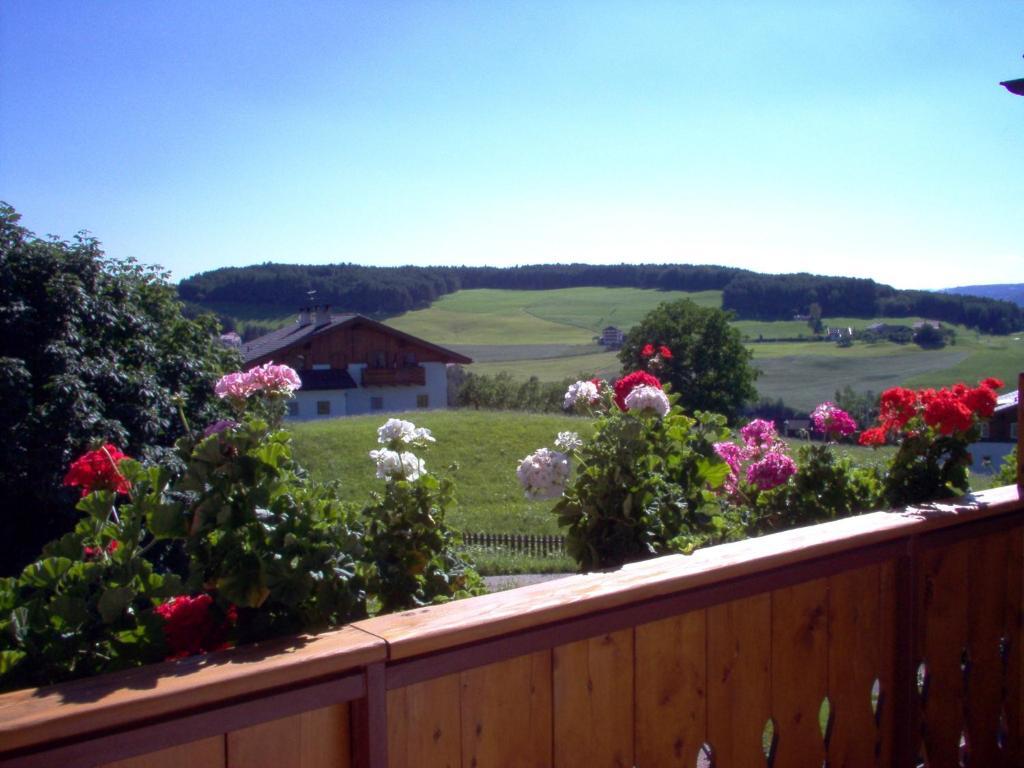 Hotel Viktoria Castelrotto Esterno foto