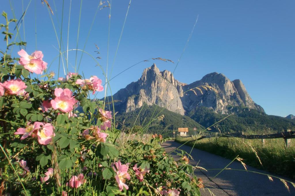 Hotel Viktoria Castelrotto Esterno foto